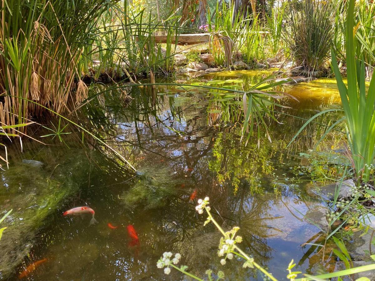El Canto De Las Ranas Villa Barbate Bagian luar foto